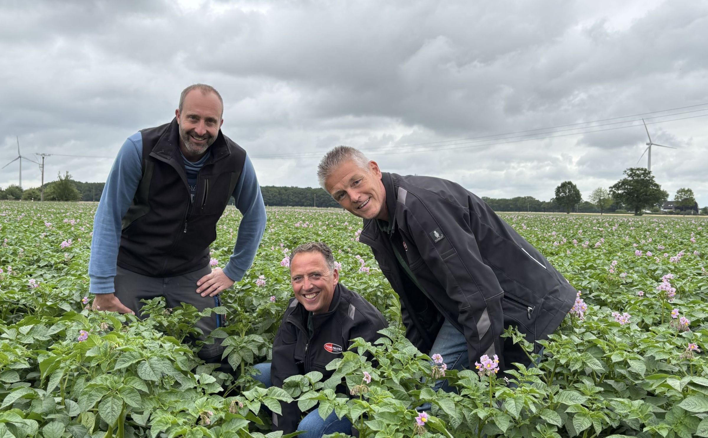 Andreas Denissen, Martin Vrij (centre) and Bart Laemers evaluate Quintera under commercial growing conditions near Kevelaer, Germany