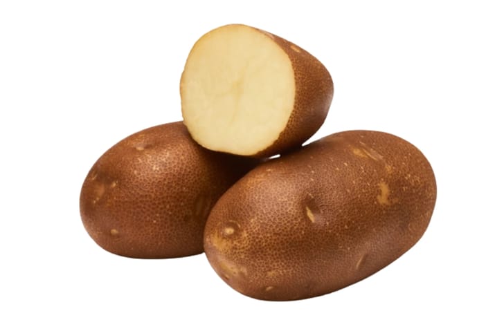 RAINIER RUSSET RAINIER RUSSET