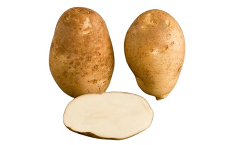 RANGER RUSSET RANGER RUSSET
