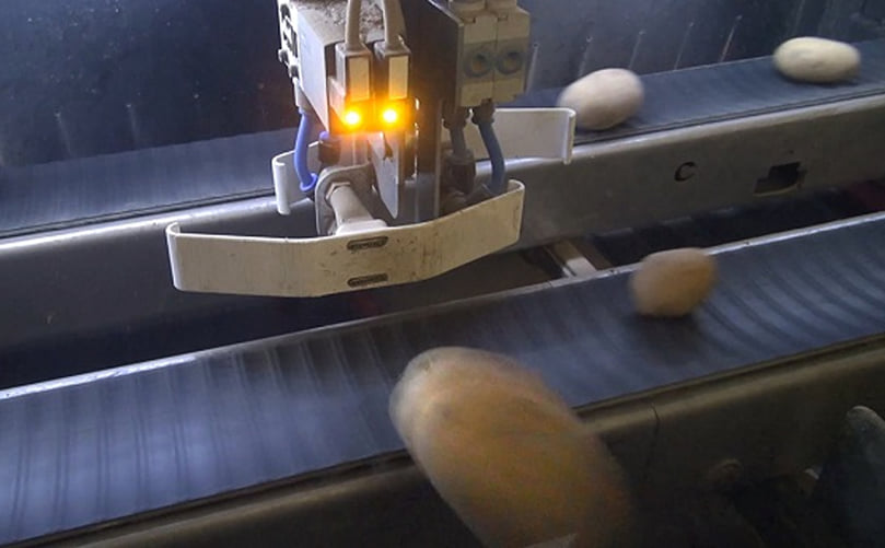 Rapid, precise sampling of potatoes Rapid, precise sampling of potatoes