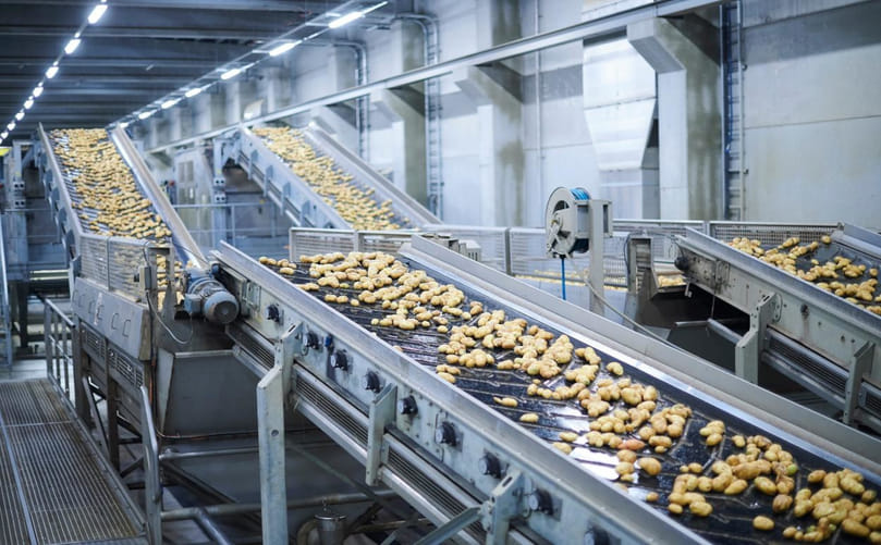 High-Quality Processing Potatoes for Frozen French Fries High-Quality Processing Potatoes for Frozen French Fries