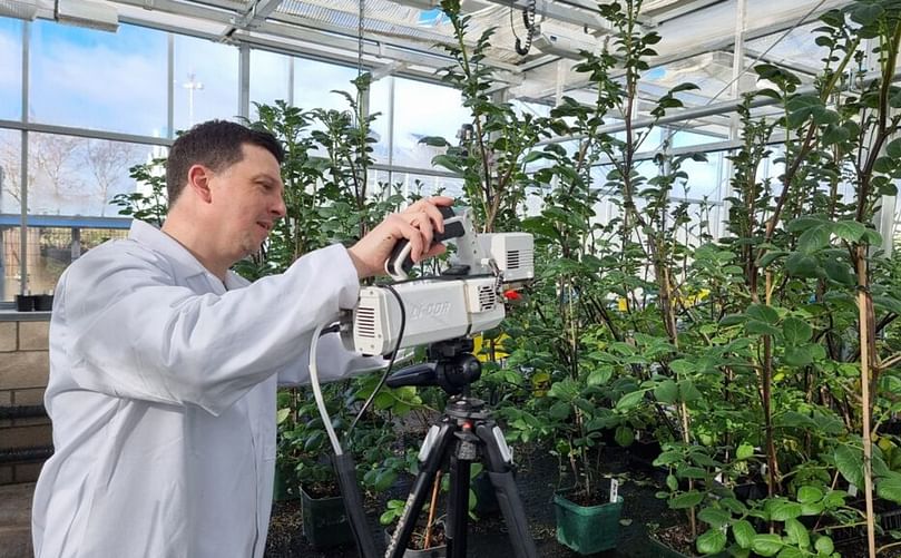 Dr Raymond Campbell, part of the team that discovered the role of germin3, measures photosynthesis in tuberising potatoes. Dr Raymond Campbell, part of the team that discovered the role of germin3, measures photosynthesis in tuberising potatoes.
