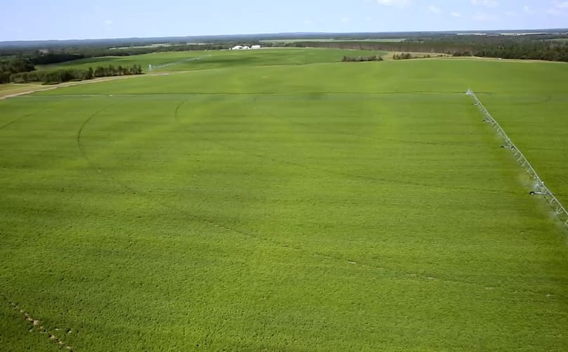 RD Offutt potato field PotatoPro