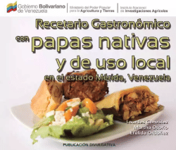 Recetario gastronómico con papas nativas de Mérida, Venezuela