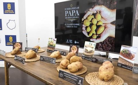 Potatoes in Los Arbejales, Teror Potatoes in Los Arbejales, Teror