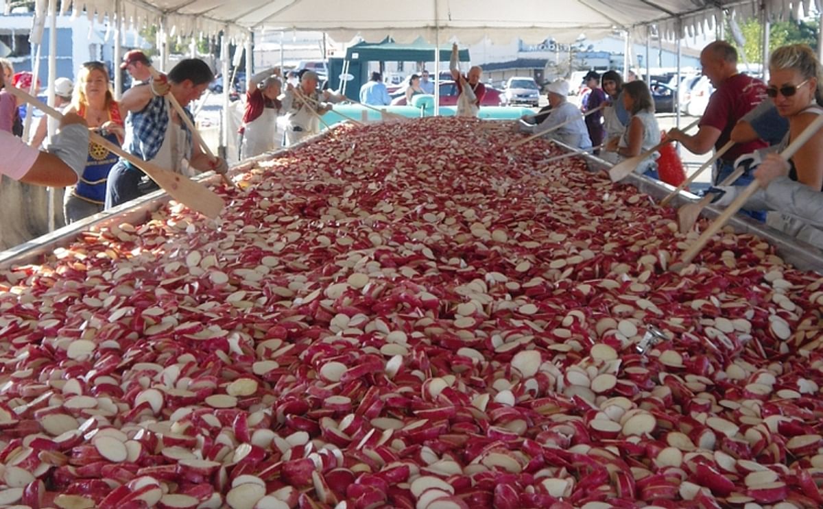 Record au gratin potato dish prepared in Skagit Valley Record au gratin potato dish prepared in Skagit Valley