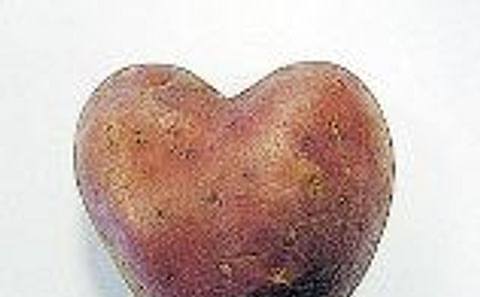 Survey: Potatoes the secret to a woman's heart this Valentine's Survey: Potatoes the secret to a woman's heart this Valentine's