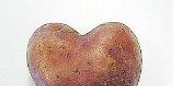  Heart shaped potato (red)