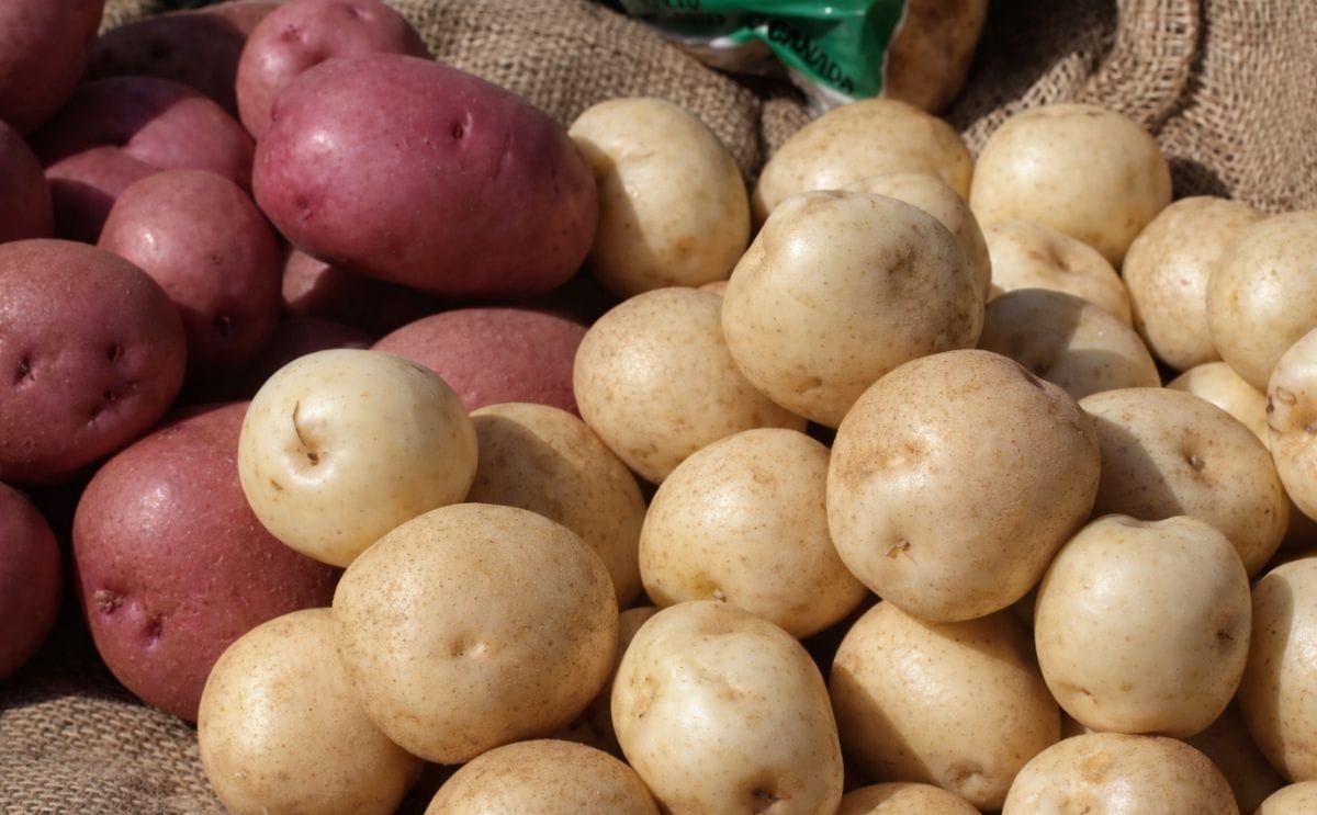 Eating Potassium-rich Foods Cuts Stroke, Death Risk among Older Women