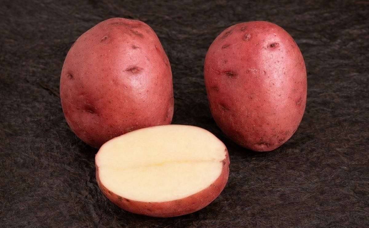 Sainsbury's launches British Heritage Potato varieties for 'roasties'