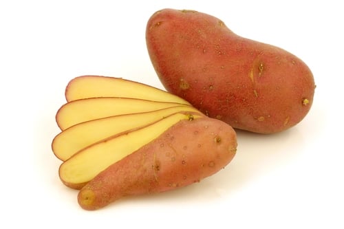 Red Fingerlings Red Fingerlings