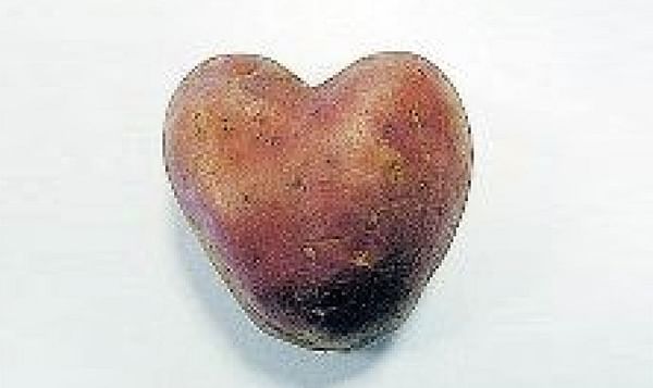 Tesco offers red, heart-shaped potatoes (Franceline) for Valentine&#039;s Day
