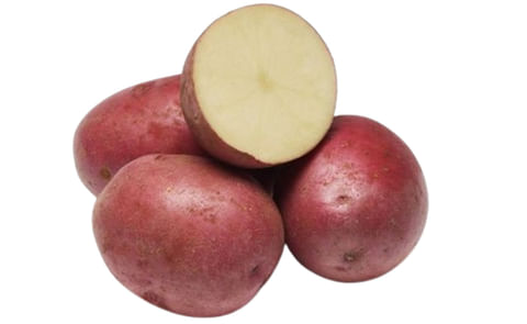 Red La Soda Red La Soda