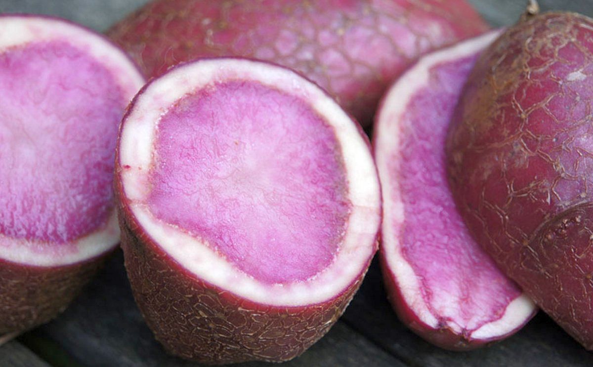 Red potato pulp: an innovative ingredient for gluten-free bread