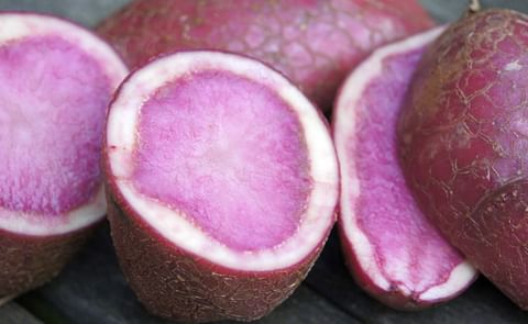 Red potato pulp: an innovative ingredient for gluten-free bread Red potato pulp: an innovative ingredient for gluten-free bread