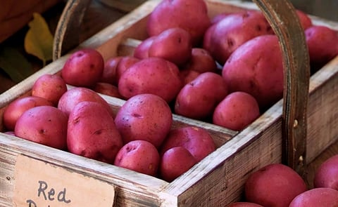 Minnesota and North Dakota potato growers in the Red River Valley produce most of the red potatoes in the United States (Courtesy: Red River Valley Potatoes / Facebook) Minnesota and North Dakota potato growers in the Red River Valley produce most of the red potatoes in the United States (Courtesy: Red River Valley Potatoes / Facebook)