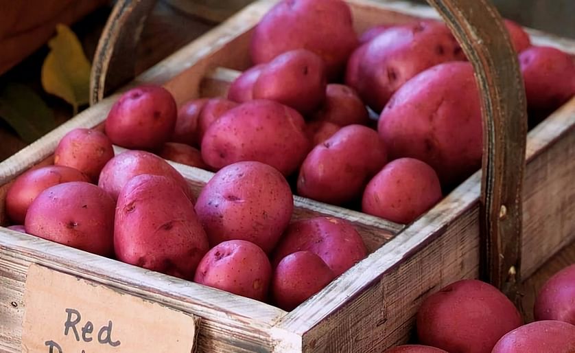 Minnesota and North Dakota potato growers in the Red River Valley produce most of the red potatoes in the United States (Courtesy: Red River Valley Potatoes / Facebook)