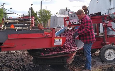 Potatoes are offloaded at the Folson Farms washplant in East Grand Forks.
