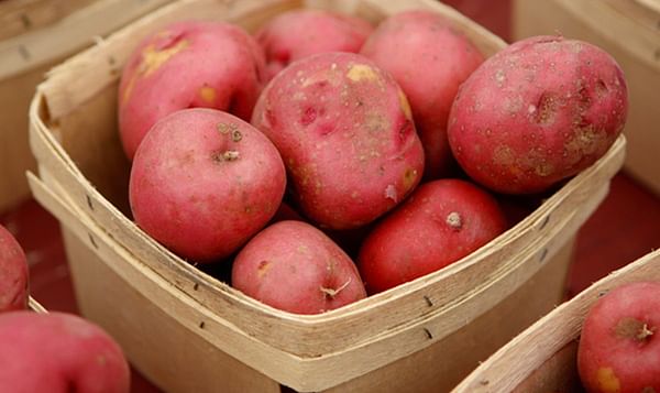 Study Shows More US Households are Purchasing Potatoes