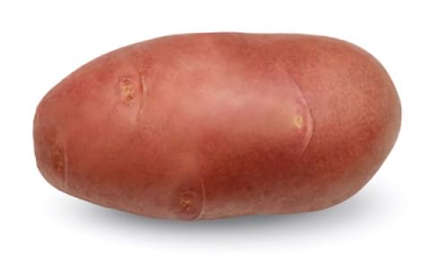 Red Scarlett Red Scarlett