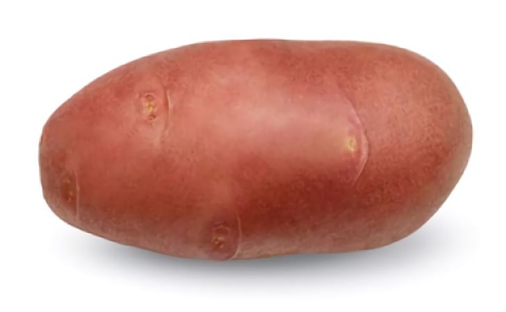 Red Scarlett Red Scarlett