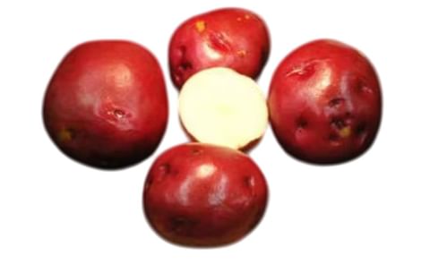 RED SUNSET RED SUNSET