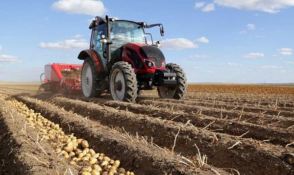 España: comienza la cosecha principal en el norte