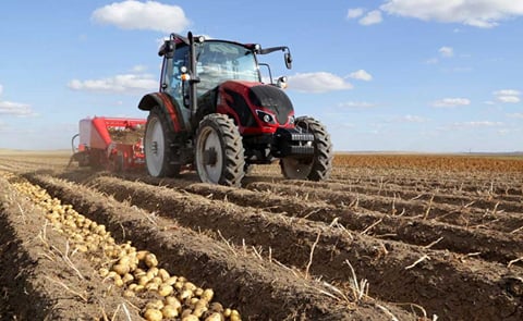 Tractor harvesting potatoes Tractor harvesting potatoes