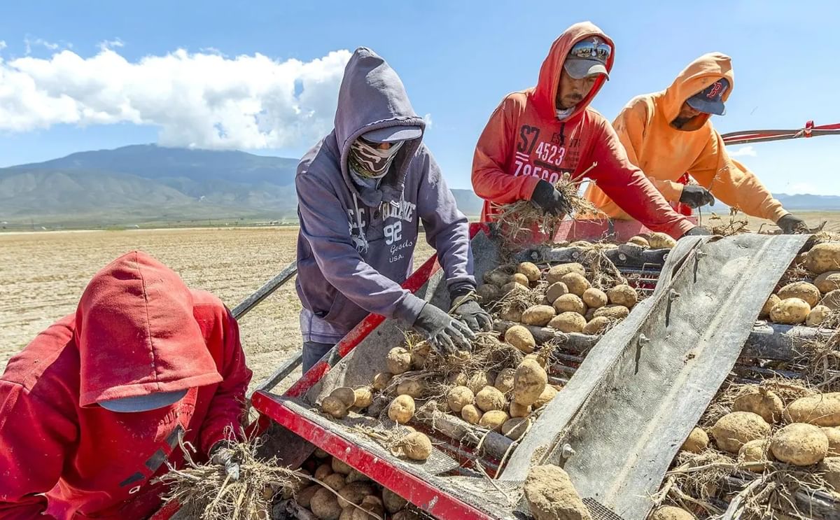 México: delicada situación para el sector productivo