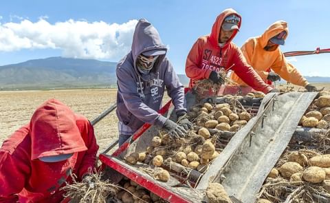 México: delicada situación para el sector productivo México: delicada situación para el sector productivo