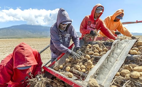 México: delicada situación para el sector productivo México: delicada situación para el sector productivo