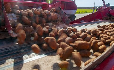 COVID-19 related restaurant closures have led to a reduction in demand for french fries. COVID-19 related restaurant closures have led to a reduction in demand for french fries.