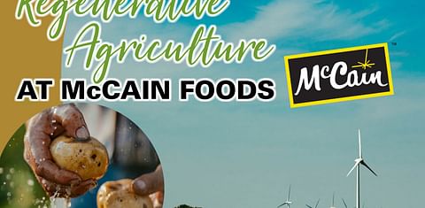 Belgian Fries manufacturer Agristo selects North Dakota to build first ...