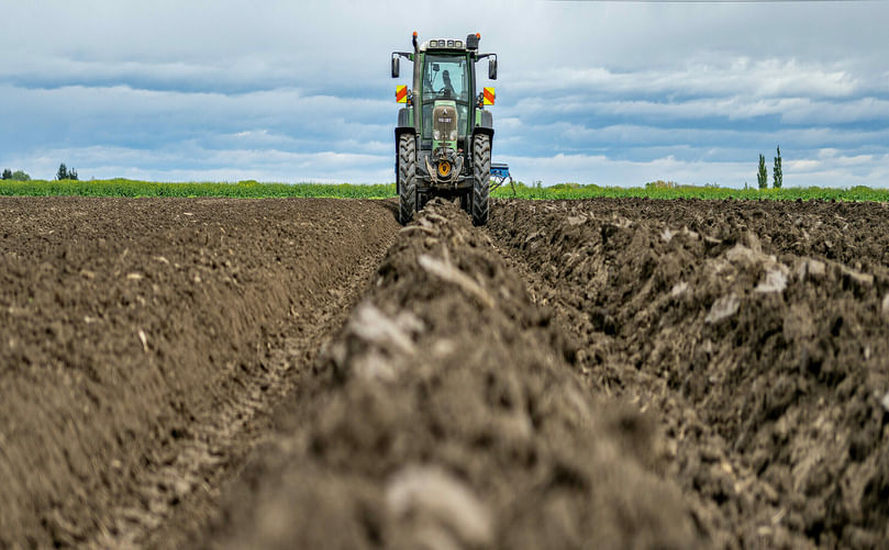 Regenerative Agriculture is Transforming Potato Farming 