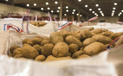 Representantes de las empresas y centros tecnológicos que participan en la iniciativa, enmarcada dentro del proyecto europeo Brilian, en la planta de Udapa en Gasteiz. Representantes de las empresas y centros tecnológicos que participan en la iniciativa, enmarcada dentro del proyecto europeo Brilian, en la planta de Udapa en Gasteiz.
