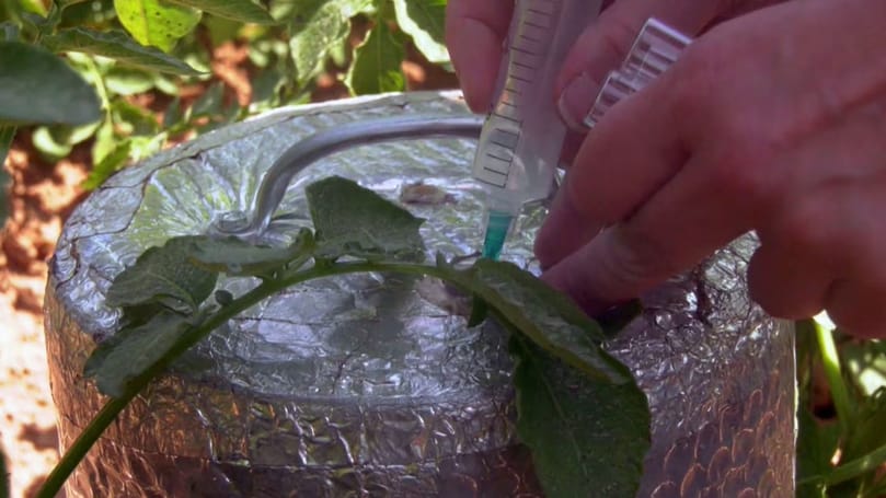 Researchers collect gas released from the soil to measure methane, carbon dioxide and nitrous oxide emissions. Researchers collect gas released from the soil to measure methane, carbon dioxide and nitrous oxide emissions.