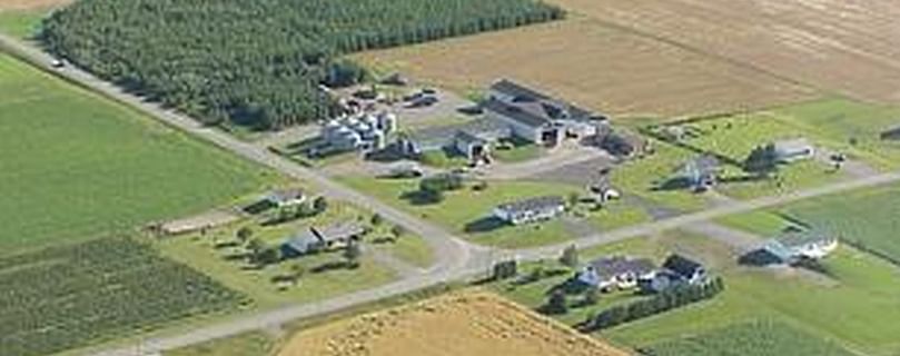 Les Fermes GAM Michaud Farms grows multiple varieties of potatoes.