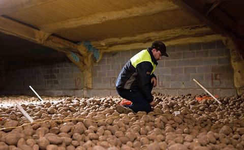 Dirk Garos y Paul O'Connor, de Restrain (Países Bajos): 'Nosotros tenemos la mejor alternativa al CIPC, cuya fecha límite se acerca' Dirk Garos y Paul O'Connor, de Restrain (Países Bajos): 'Nosotros tenemos la mejor alternativa al CIPC, cuya fecha límite se acerca'