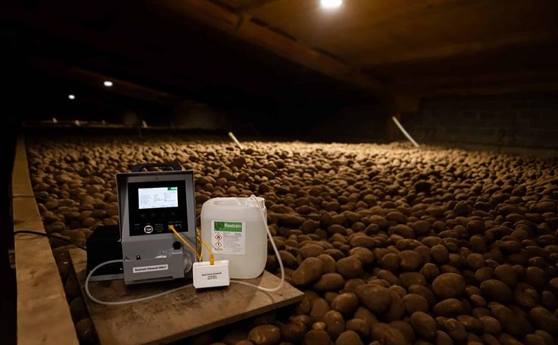 Hand-Held Fresh Potato: Ethylene's Role in Natural Sprout Inhibition Hand-Held Fresh Potato: Ethylene's Role in Natural Sprout Inhibition
