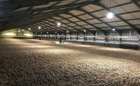 El éxito de Restrain radica en la sencillez y confiabilidad del sistema. El sistema se puede instalar en el almacén en sólo cinco minutos. El éxito de Restrain radica en la sencillez y confiabilidad del sistema. El sistema se puede instalar en el almacén en sólo cinco minutos.