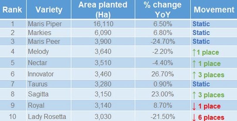 Top Ten potato varieties by area in Great Britain in 2019 from all sectors (Courtesy: AHDB). Top Ten potato varieties by area in Great Britain in 2019 from all sectors (Courtesy: AHDB).