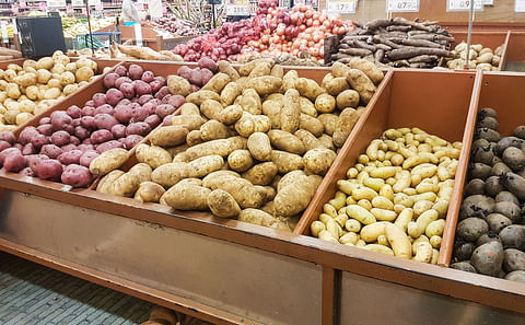 United States Retail potato sales increased in April – June 2022 (Q2)