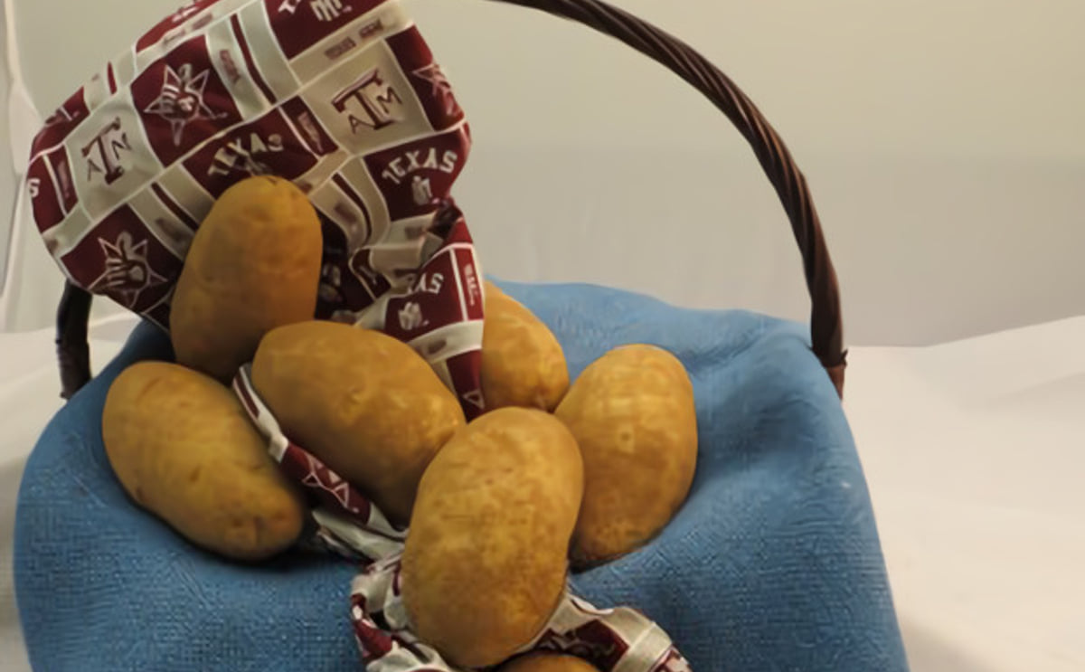Reveille Russet Reveille Russet