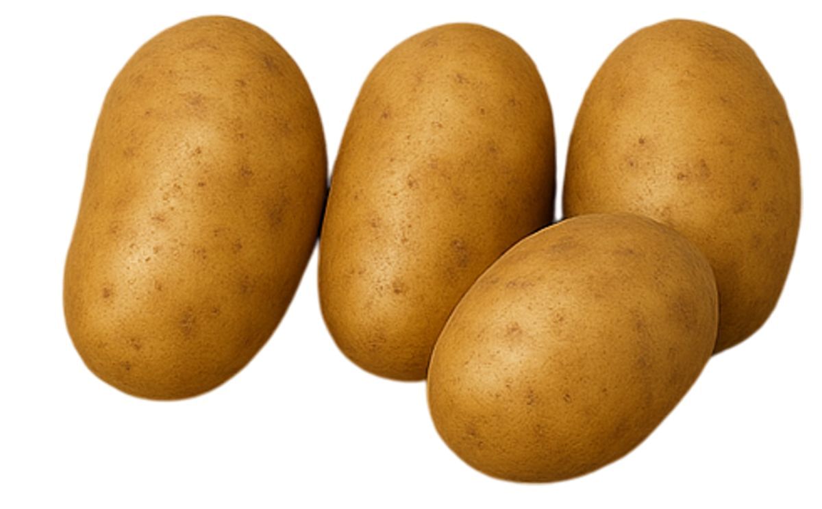 REVEILLE RUSSET (ATX91137-1RU)