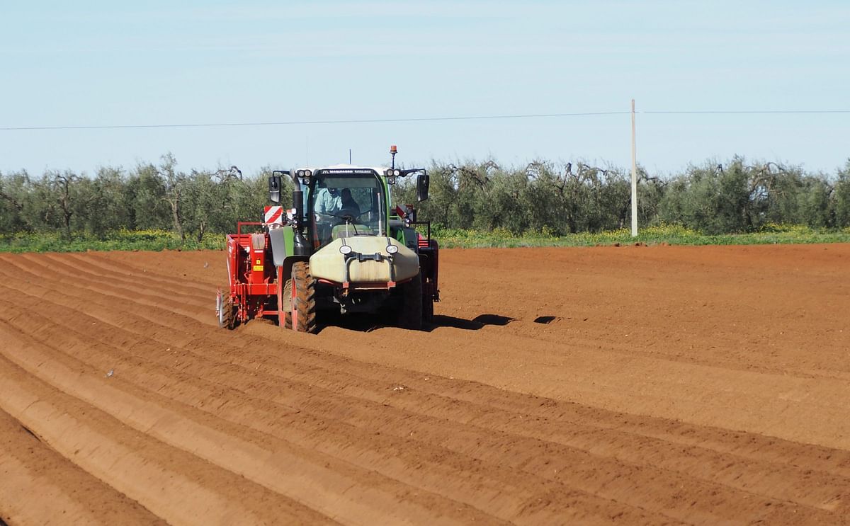 Revista Campo ha acompañado a Contagri en un día de siembras