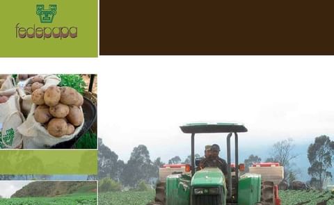 Potenciales aportes de la innovación en papa Potenciales aportes de la innovación en papa