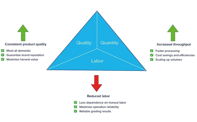 Revolutionize your grading with Ellips Golden Grading Triangle Revolutionize your grading with Ellips Golden Grading Triangle