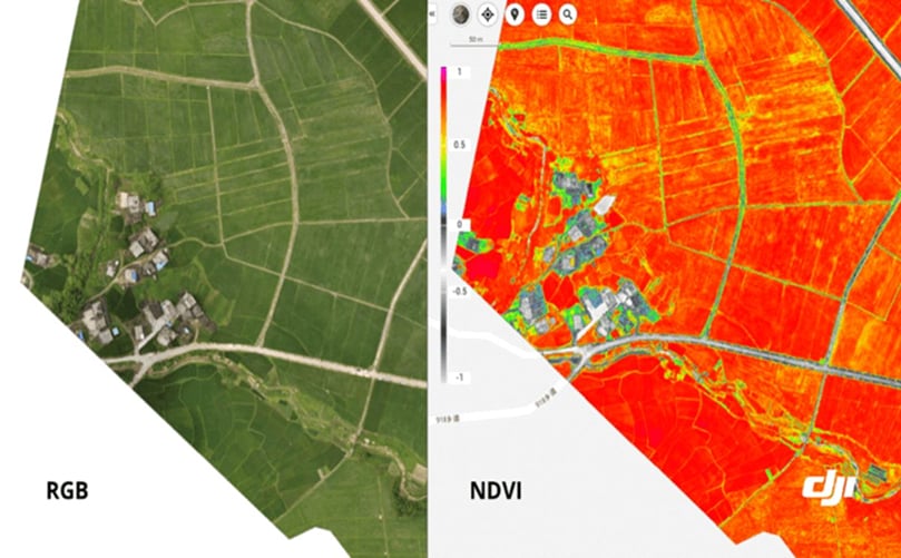 Examples of maps generated using drone data. RGB and NDVI maps