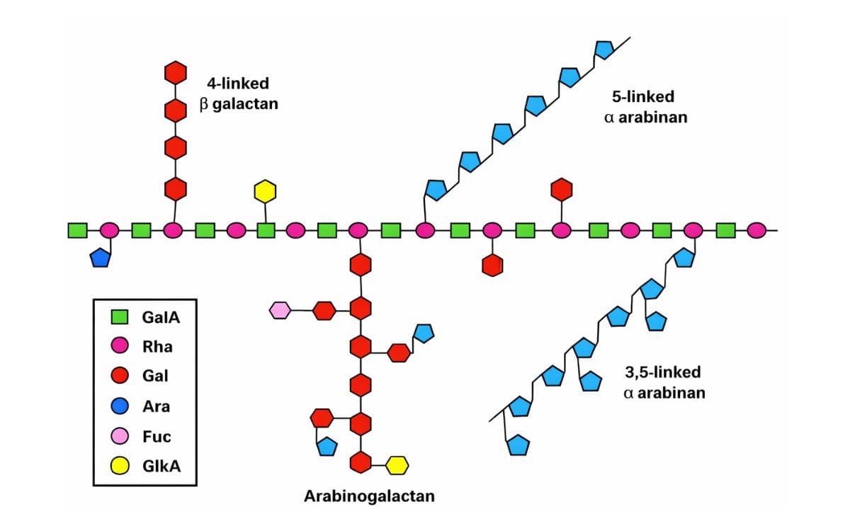 Potato waste could provide 'new generation' of food ingredients