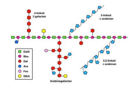 Potato waste could provide 'new generation' of food ingredients Potato waste could provide 'new generation' of food ingredients
